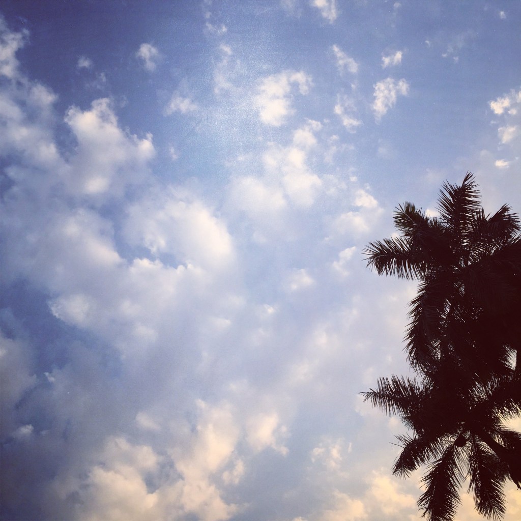 the doctor might not be able to save&nbsp;you…