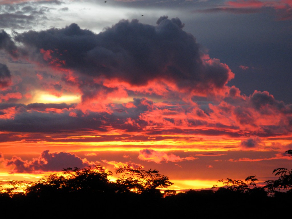 a journal entry: 12 dec&nbsp;2009