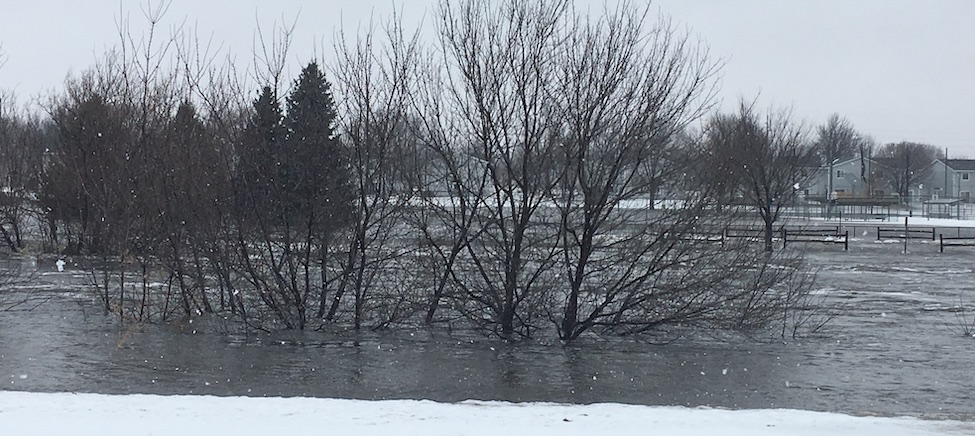skunk creek flooding