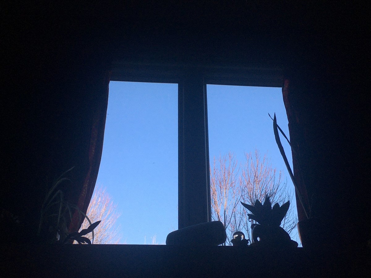 ahimsa practice: week 1, day&nbsp;3